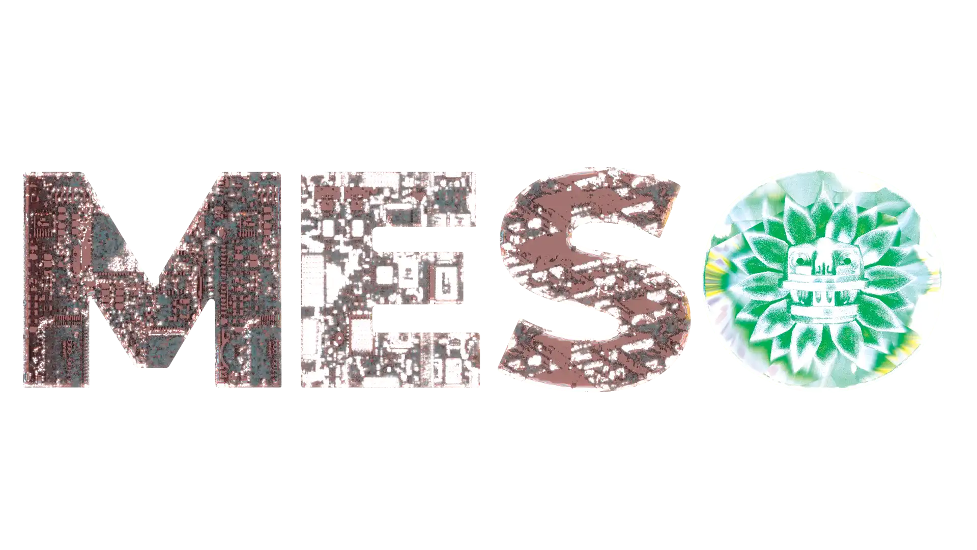 meso 3d complete