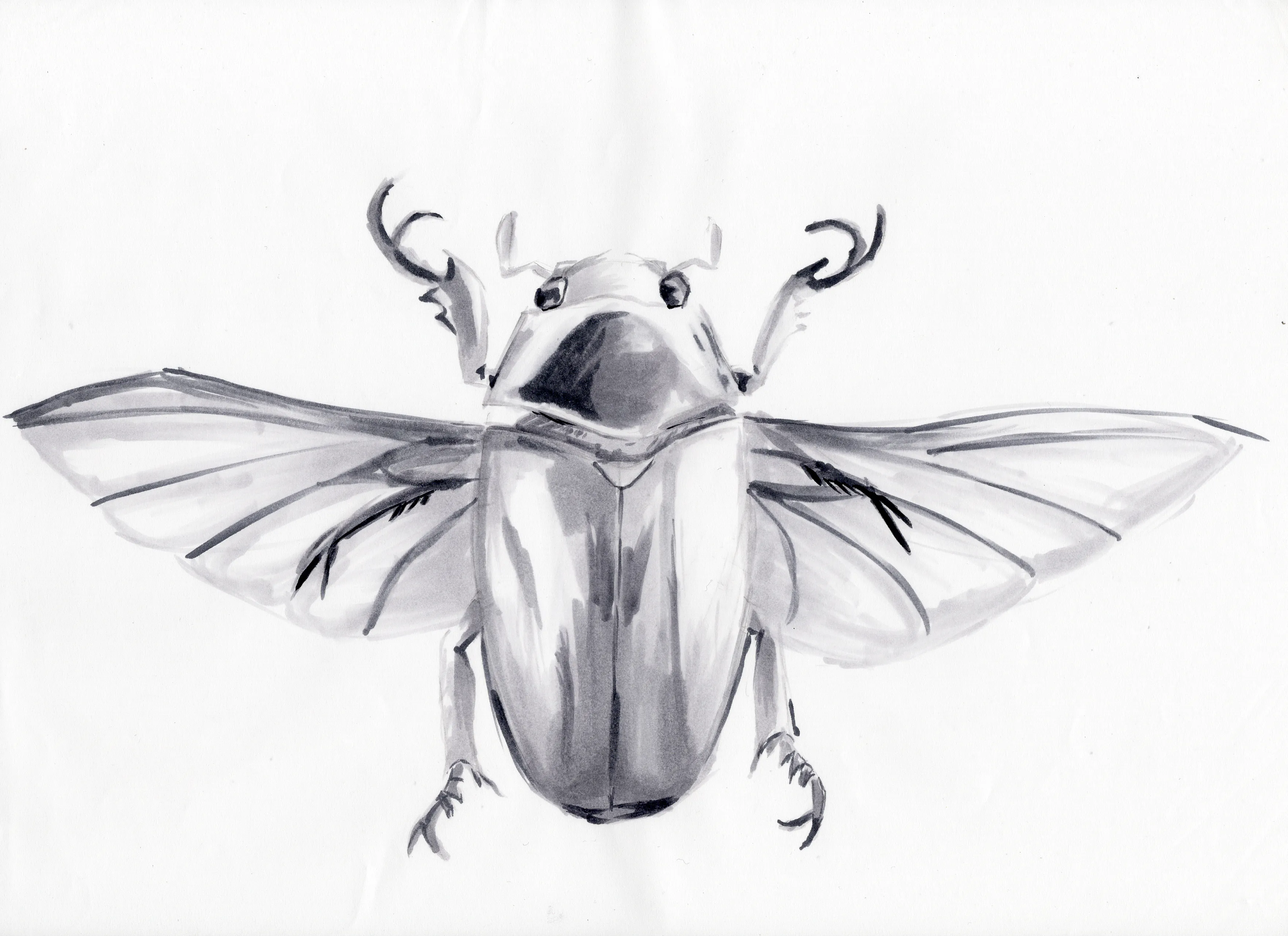 gr-tyto-illustration10