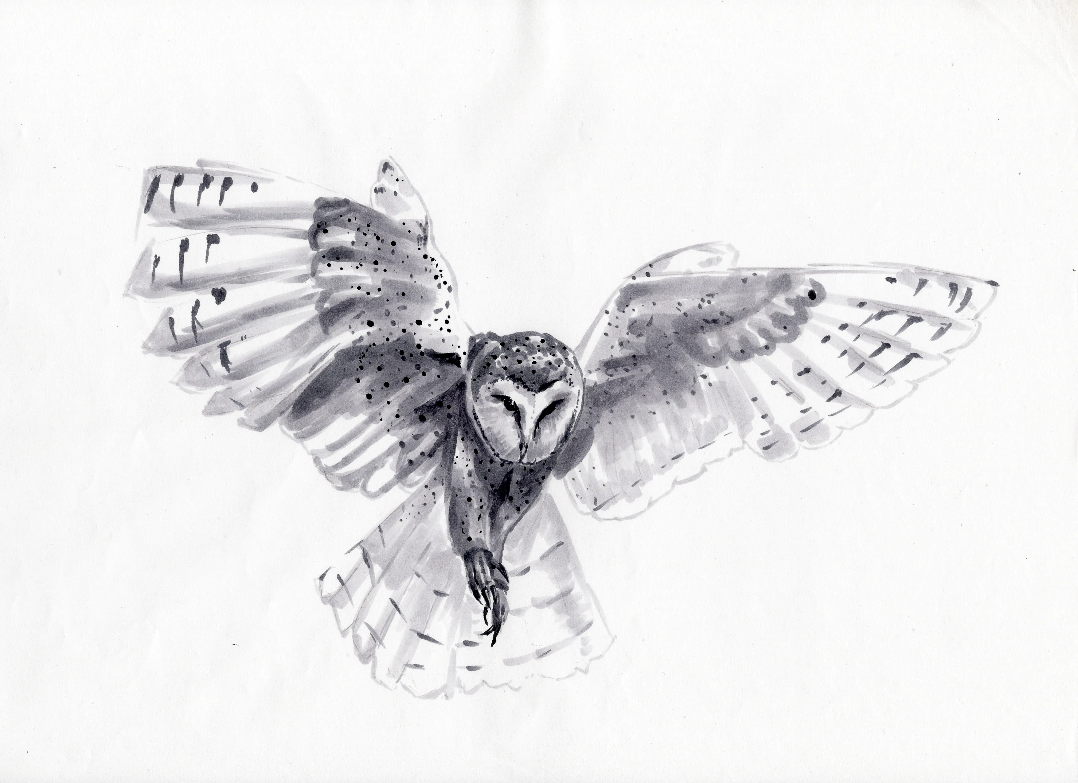 gr-tyto-illustration6