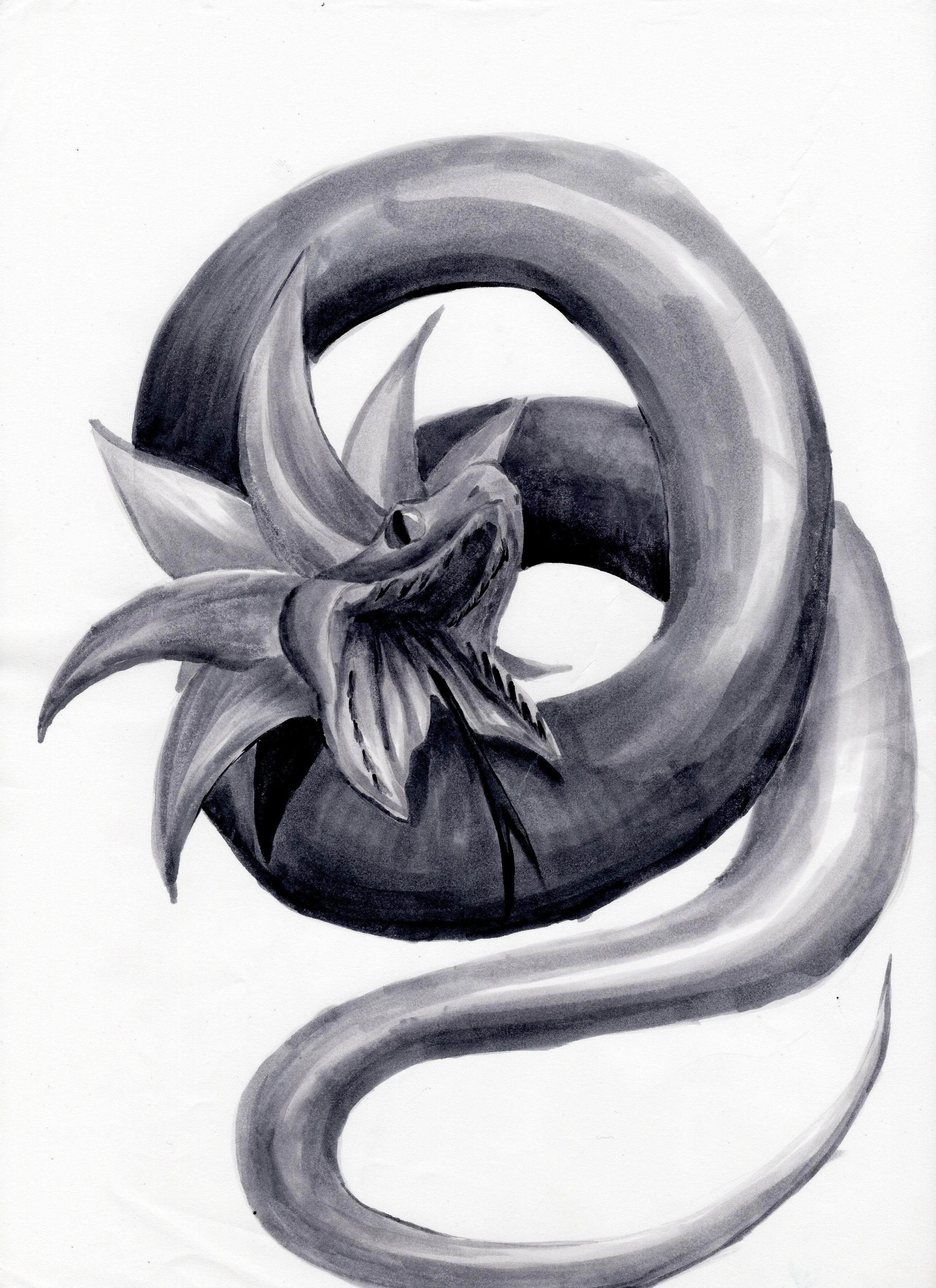 gr-tyto-illustration8