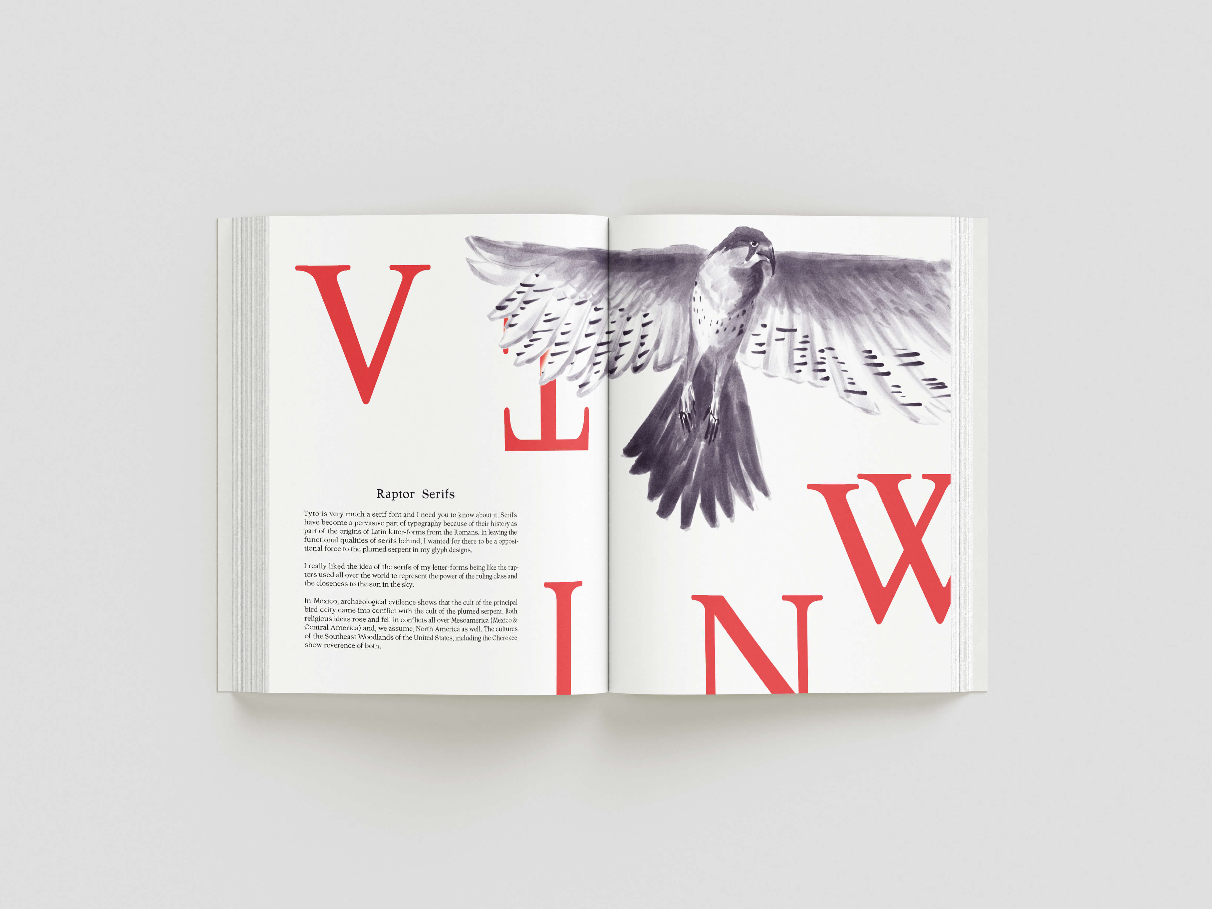 book raptor spread