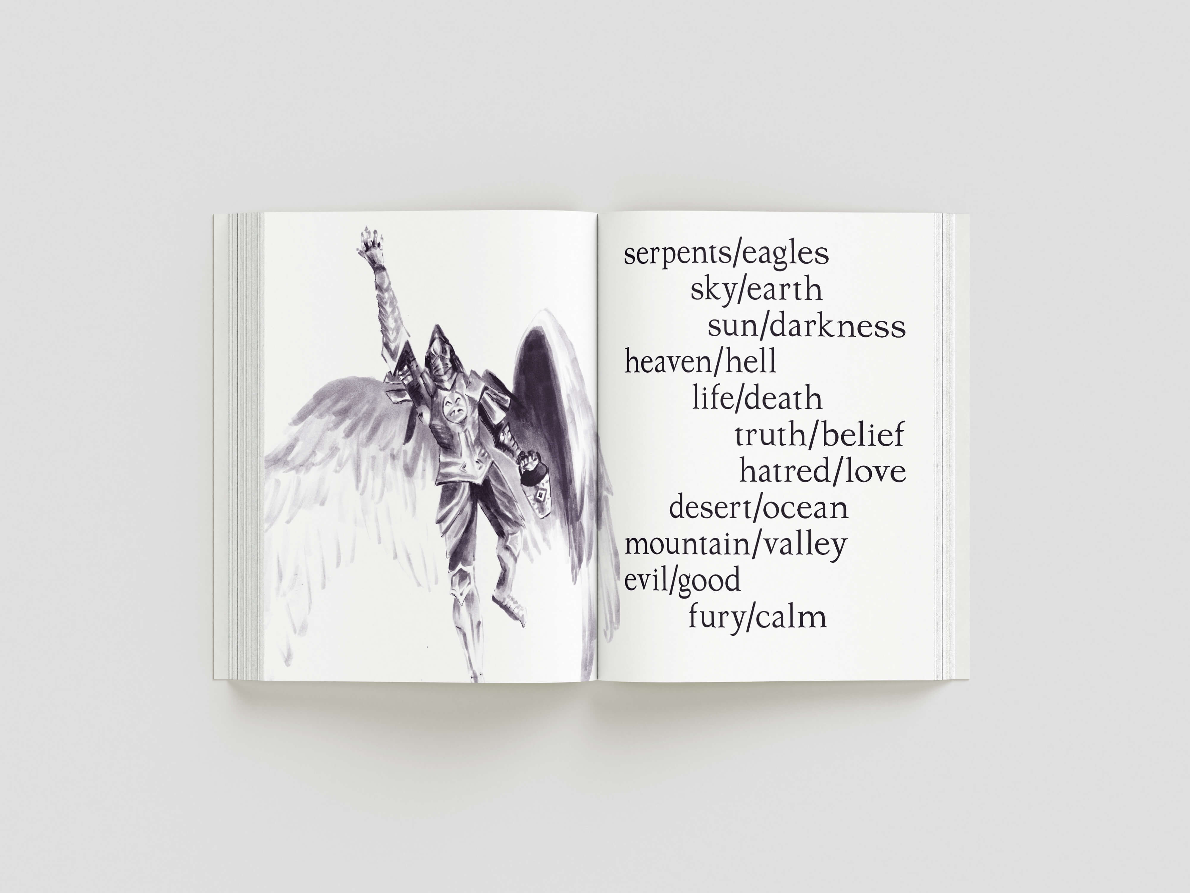 book wings spread