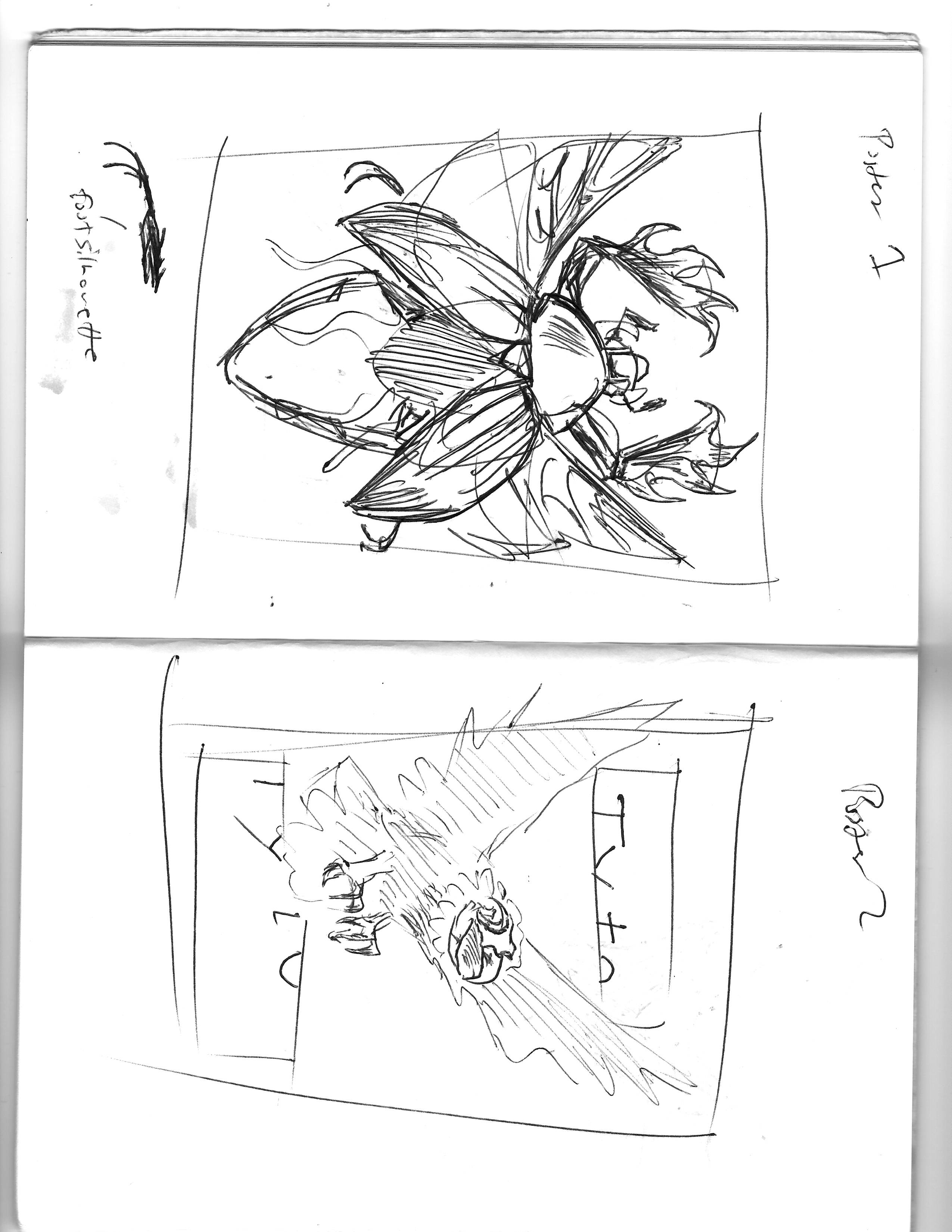 gr-tyto-sketch-illustration5